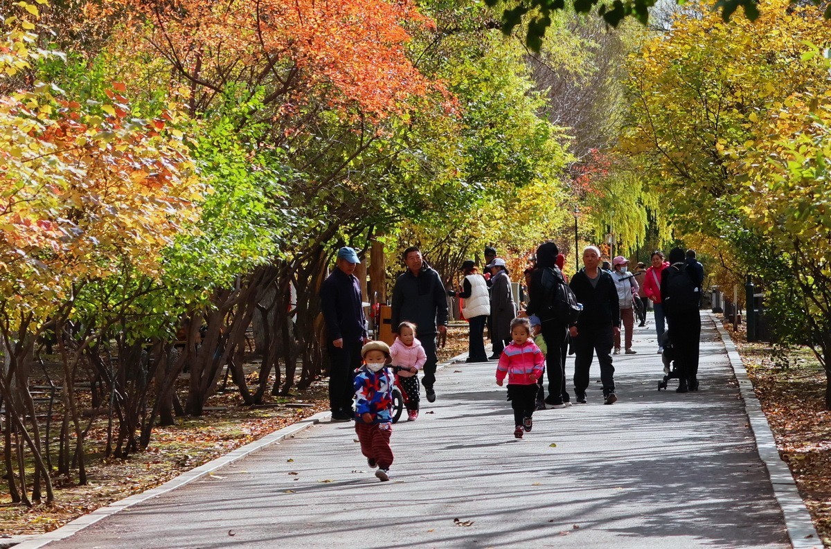 温度骤降下的松乐园