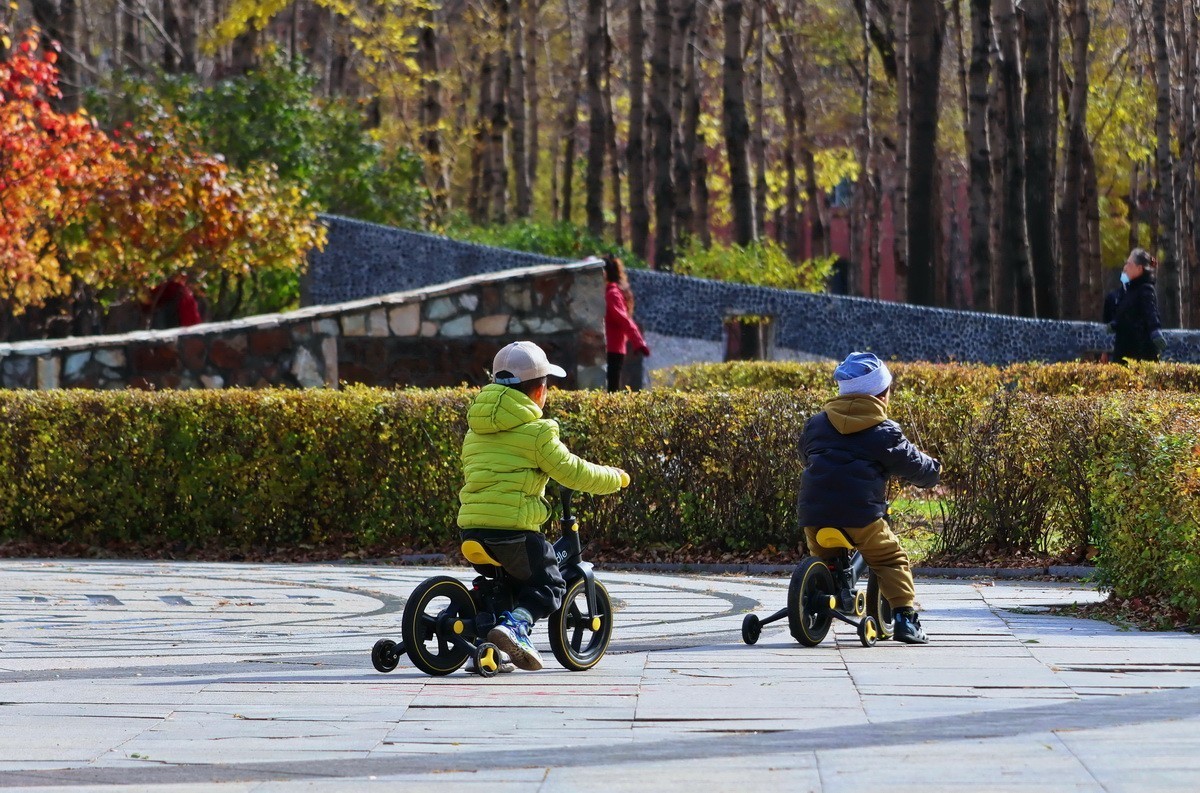 温度骤降下的松乐园