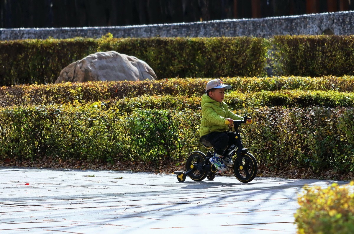 温度骤降下的松乐园