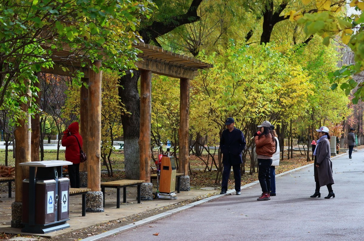 温度骤降下的松乐园