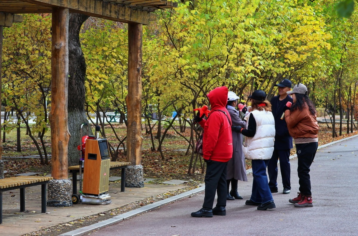 温度骤降下的松乐园