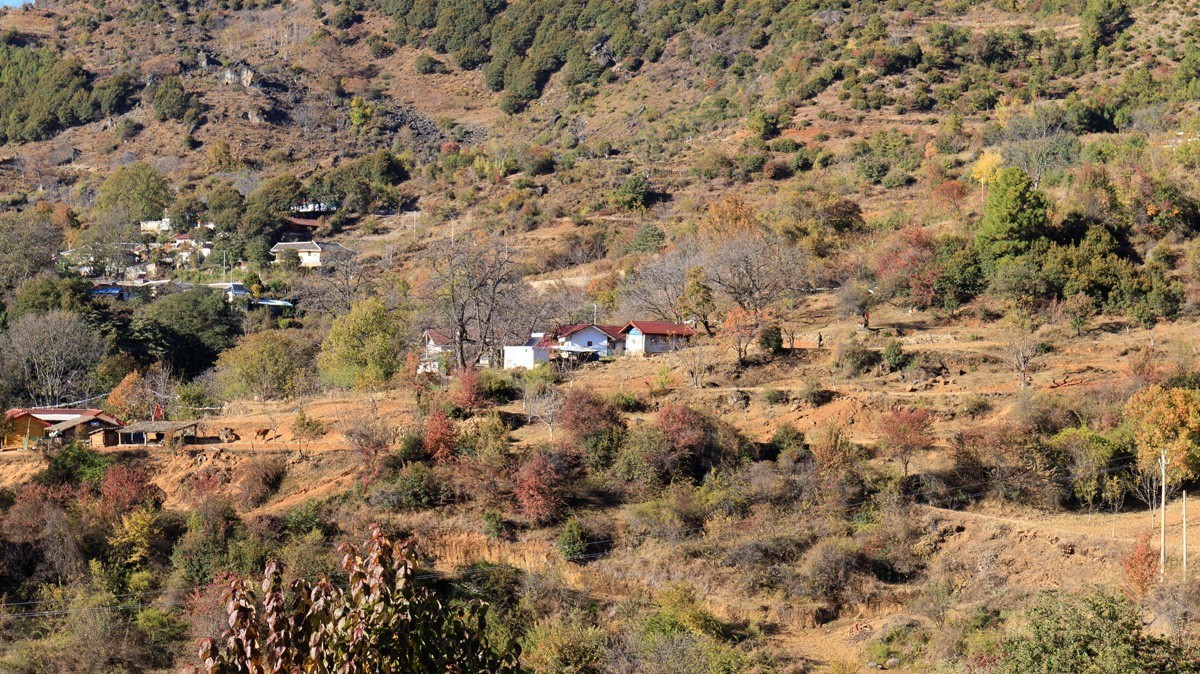 木里藏族自治县的冬天有蓝色、绿色、金黄色