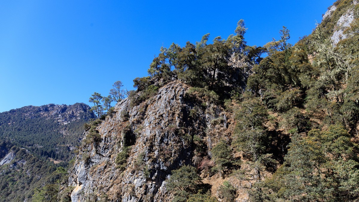 木里藏族自治县的冬天有蓝色、绿色、金黄色