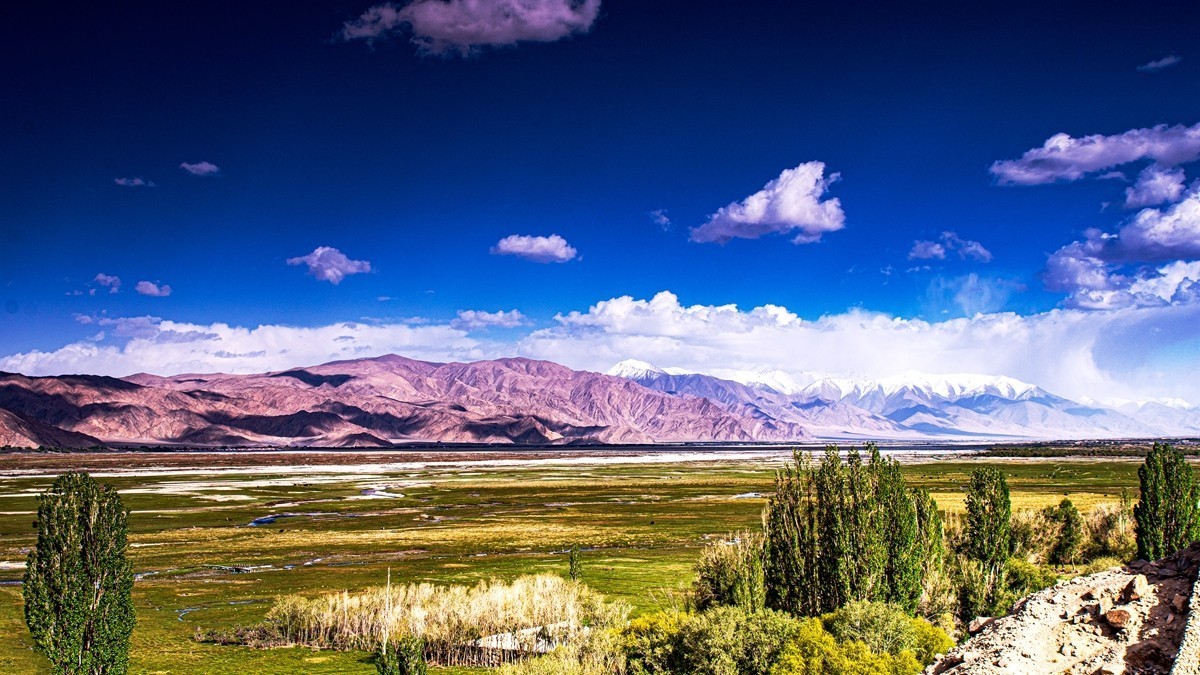 帕米尔高原【12】--金草滩湿地