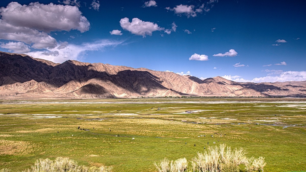 帕米尔高原【12】--金草滩湿地