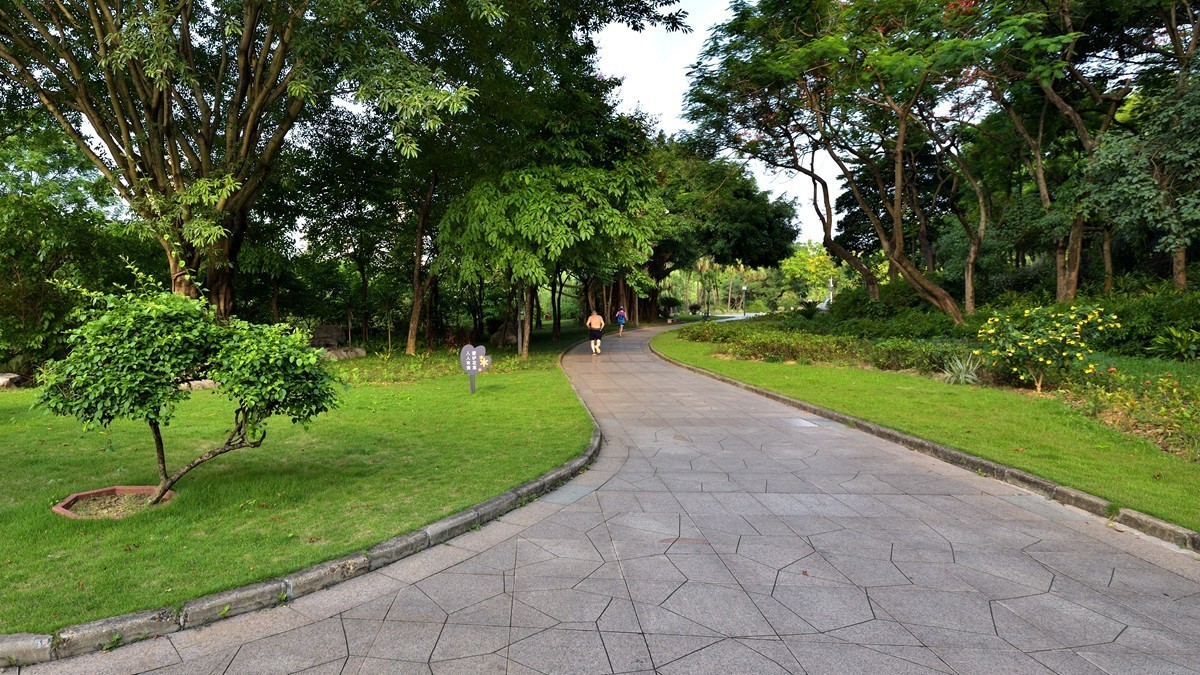 公园健步道5