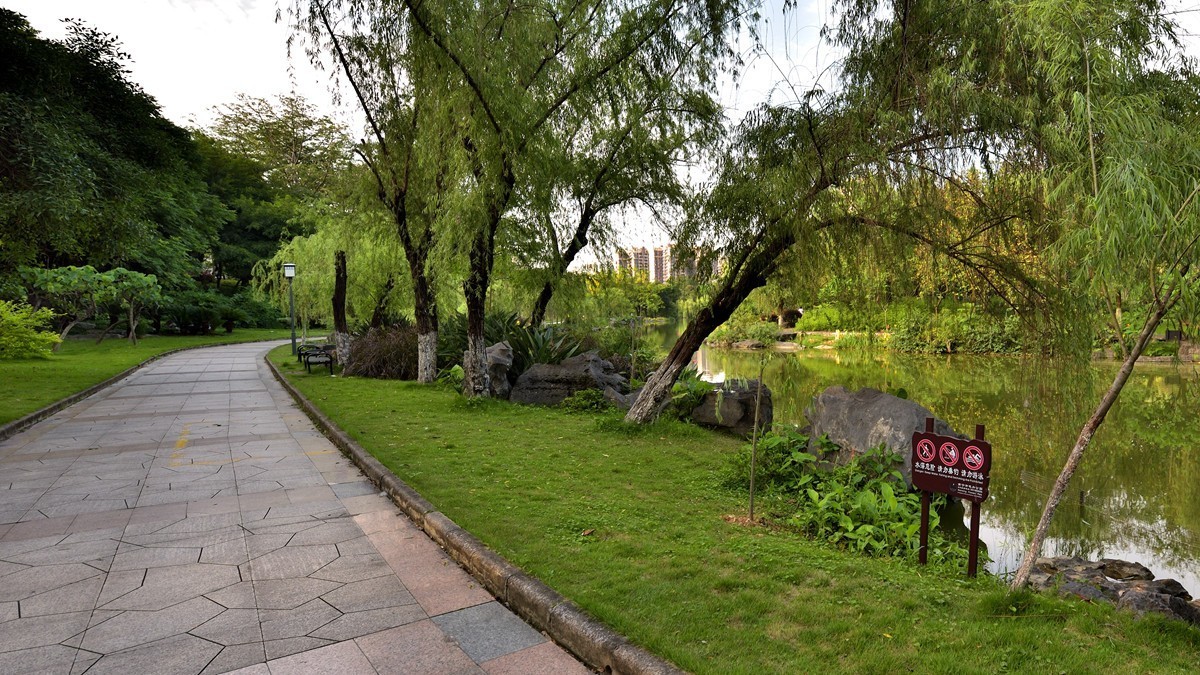 公园健步道5