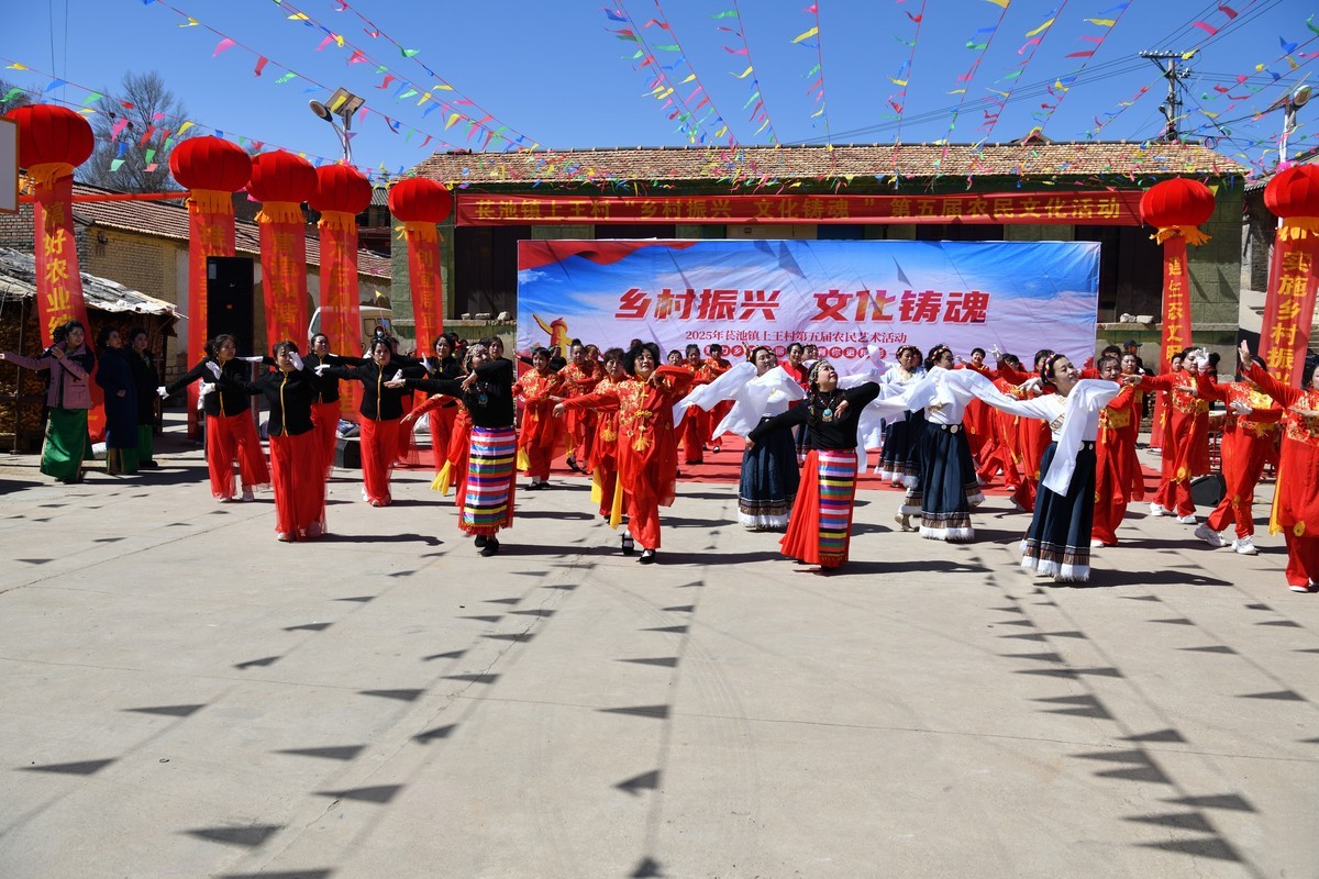 乡村振兴，文化铸魂--2025长池镇上王村第五届农民艺术活动（7）