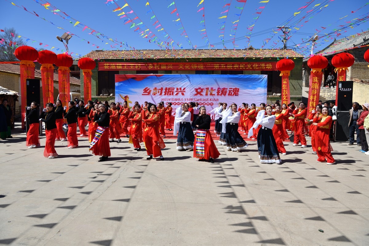 乡村振兴，文化铸魂--2025长池镇上王村第五届农民艺术活动（7）