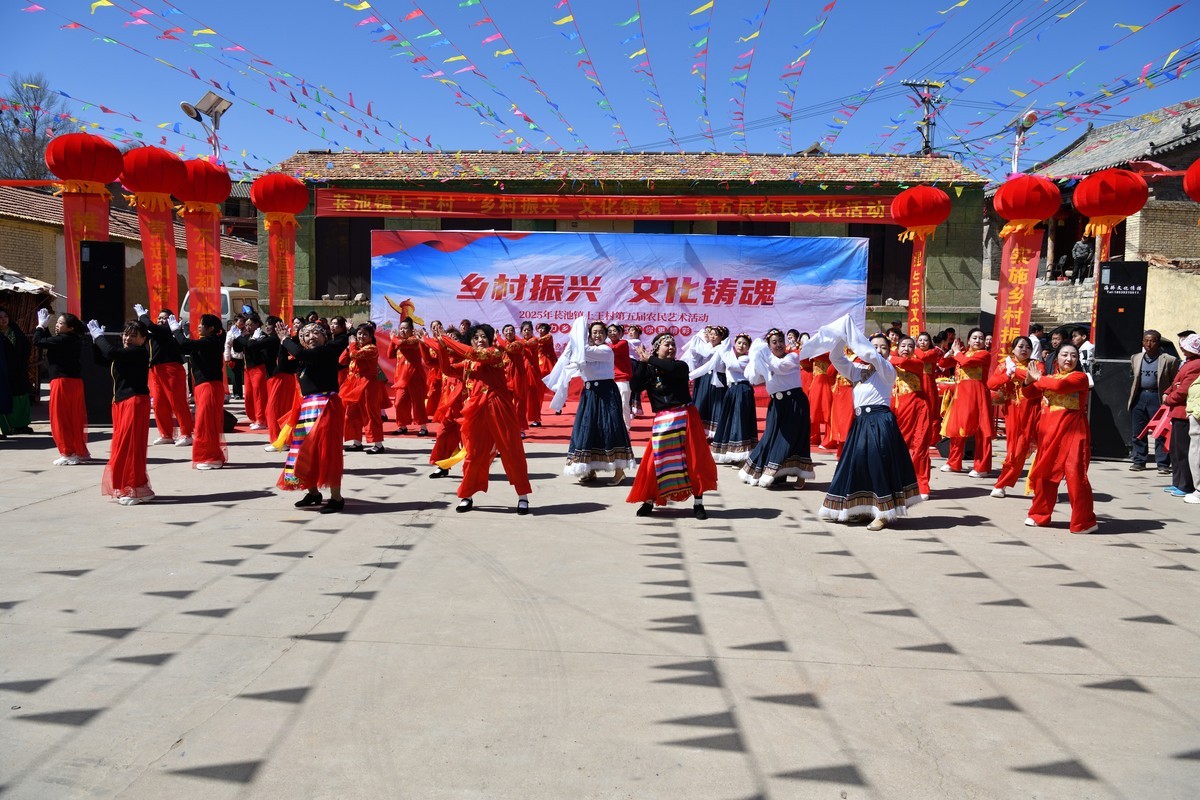 乡村振兴，文化铸魂--2025长池镇上王村第五届农民艺术活动（7）