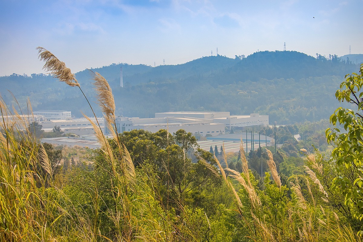2025-06-04云南玉溪柴家山（一）