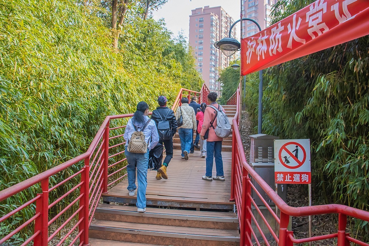 2025-06-04云南玉溪柴家山（一）