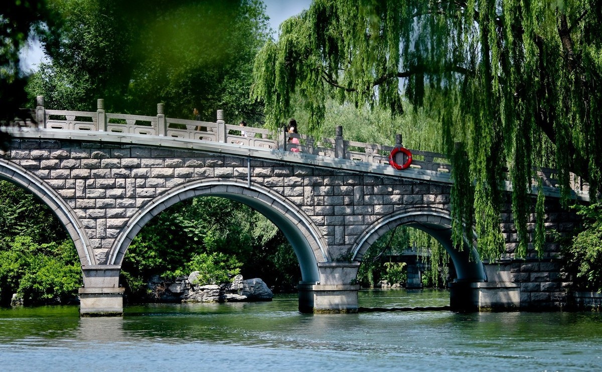 随拍——明湖初夏