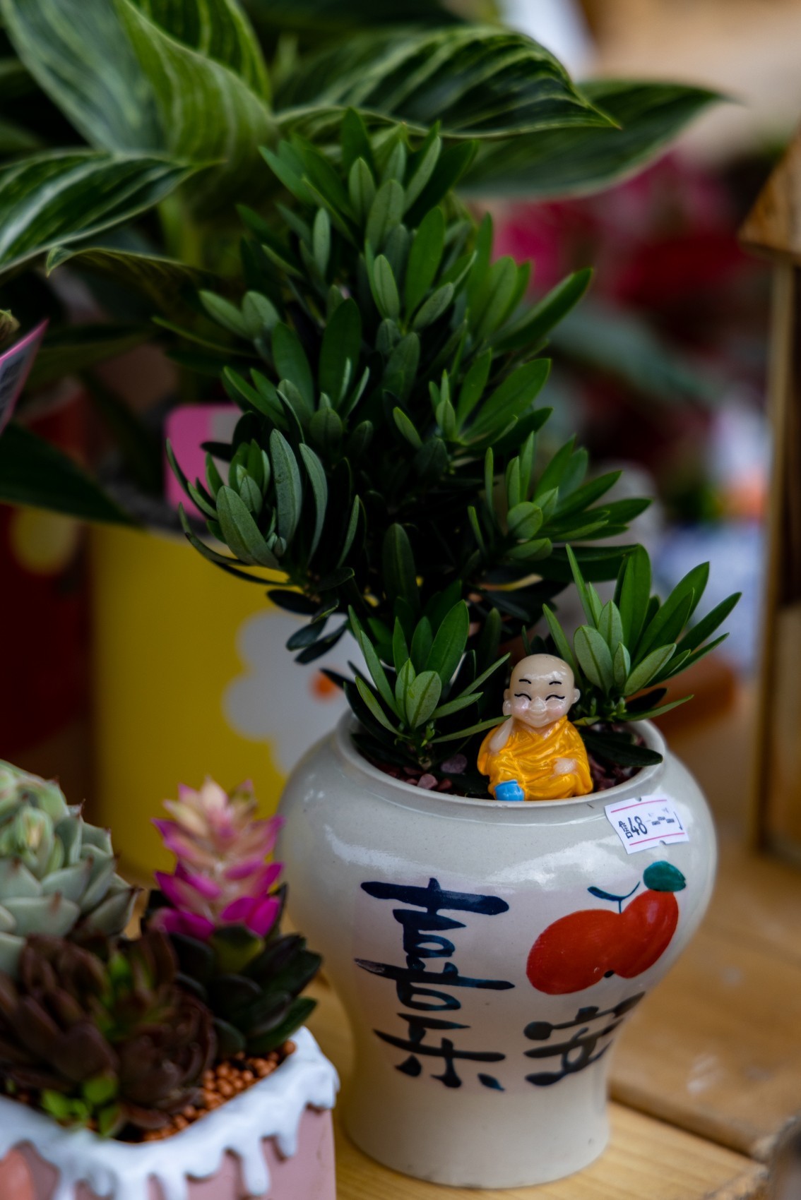 顺德庭院节（4）