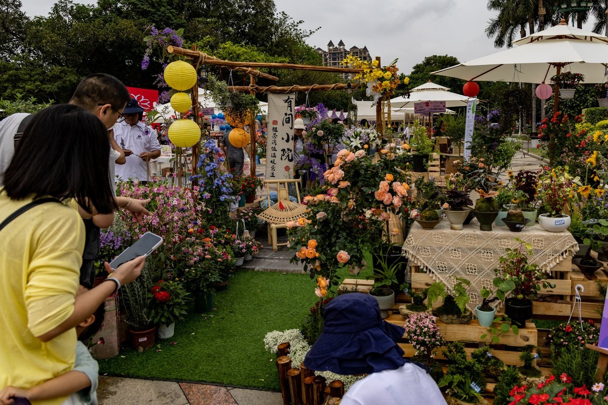 顺德庭院节（5）完