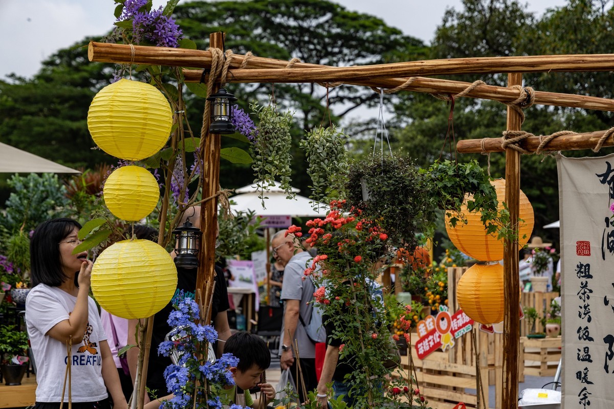 顺德庭院节（5）完