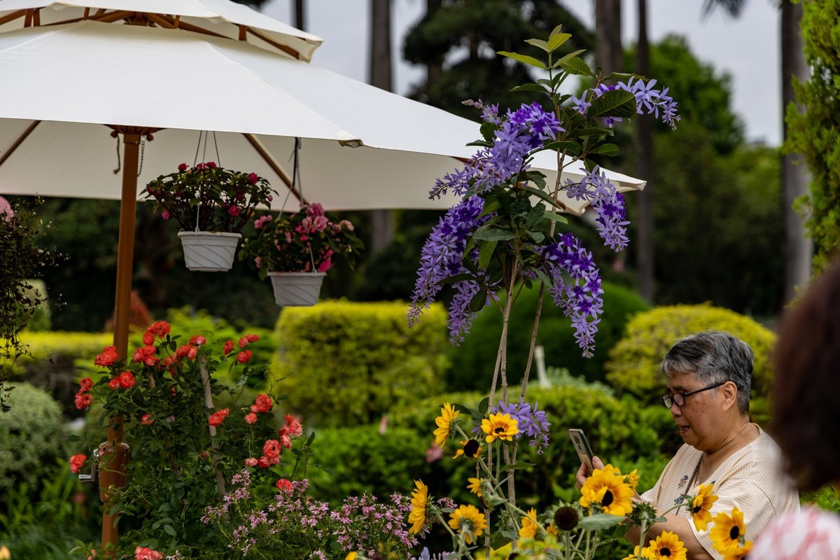 顺德庭院节（5）完