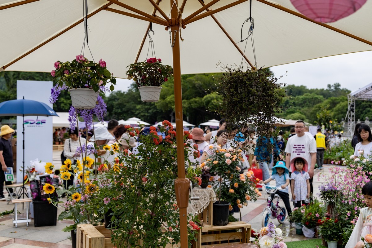 顺德庭院节（5）完