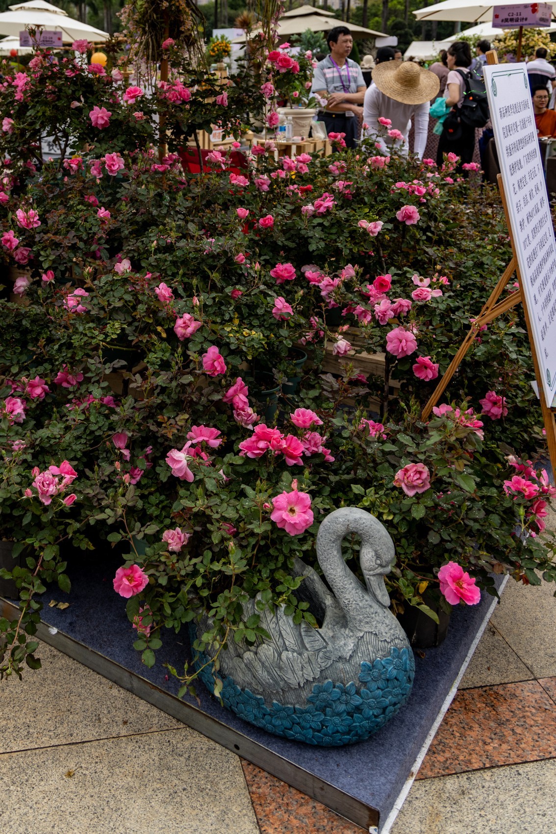 顺德庭院节（5）完