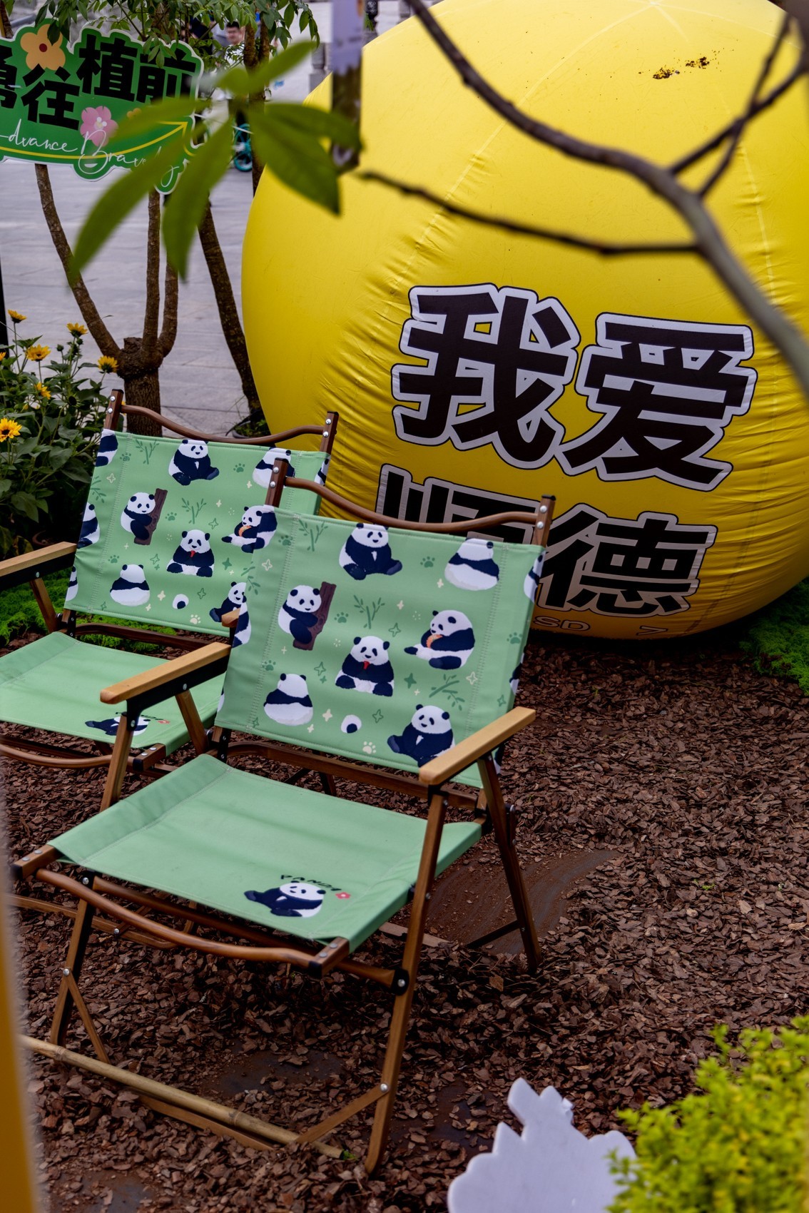 顺德庭院节（5）完