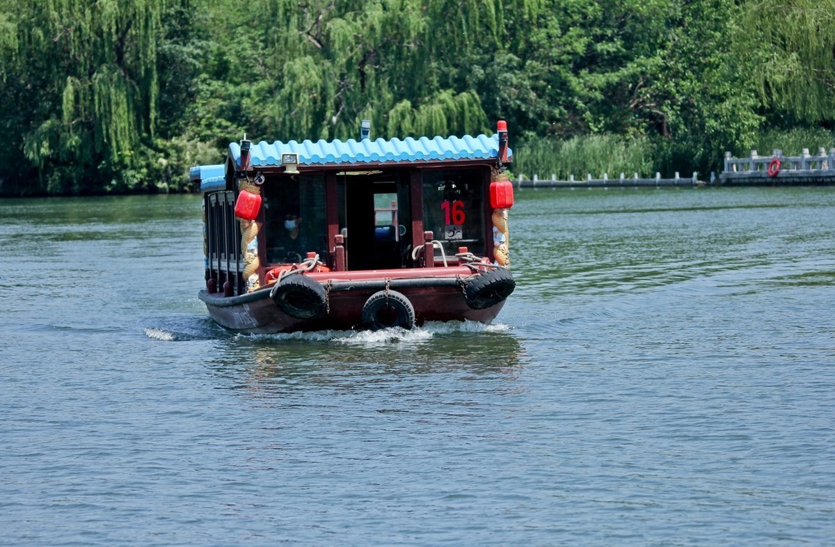 随拍——明湖初夏