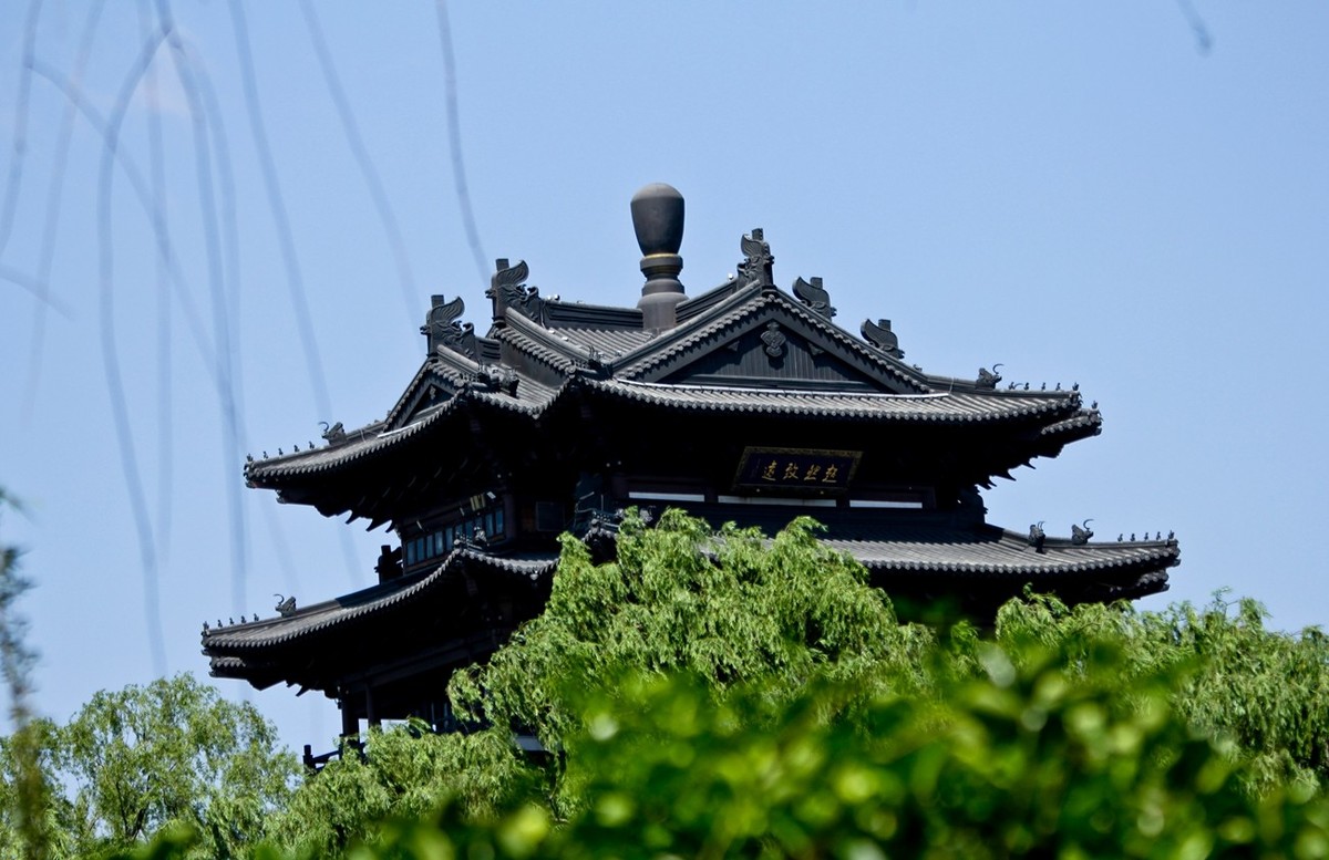 随拍——明湖初夏