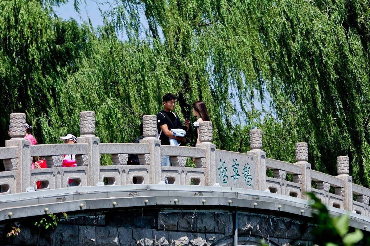 随拍——明湖初夏