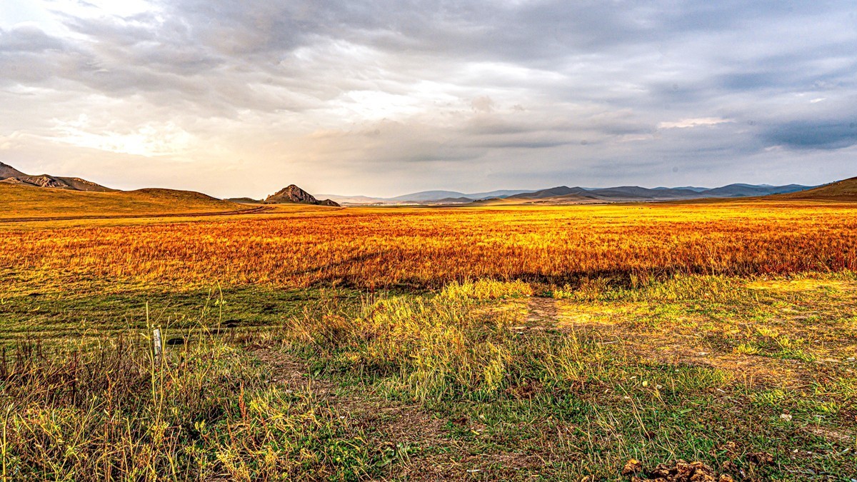 行走在--坝上草原【15】
