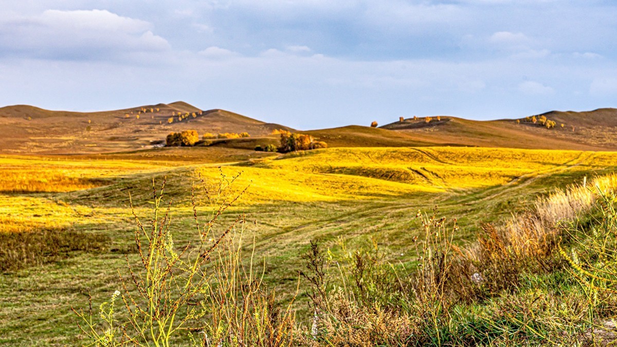 行走在--坝上草原【15】
