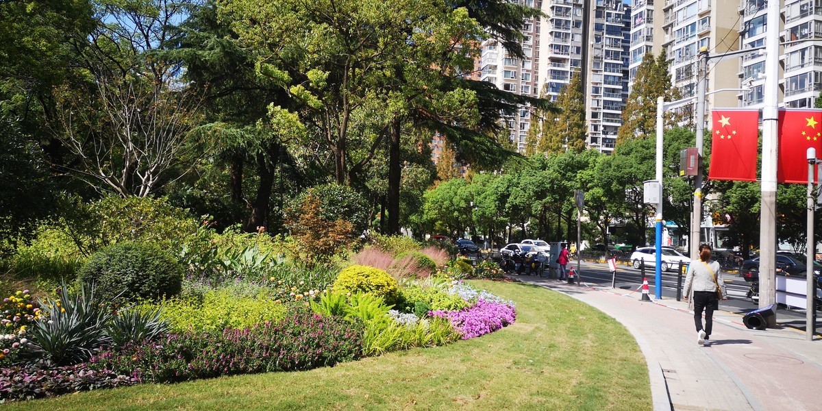 #留住美丽秋天# 上海和平公园