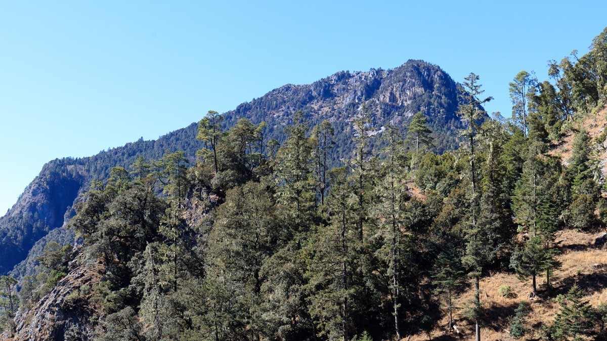 木里藏族自治县的冬天有蓝色、绿色、金黄色