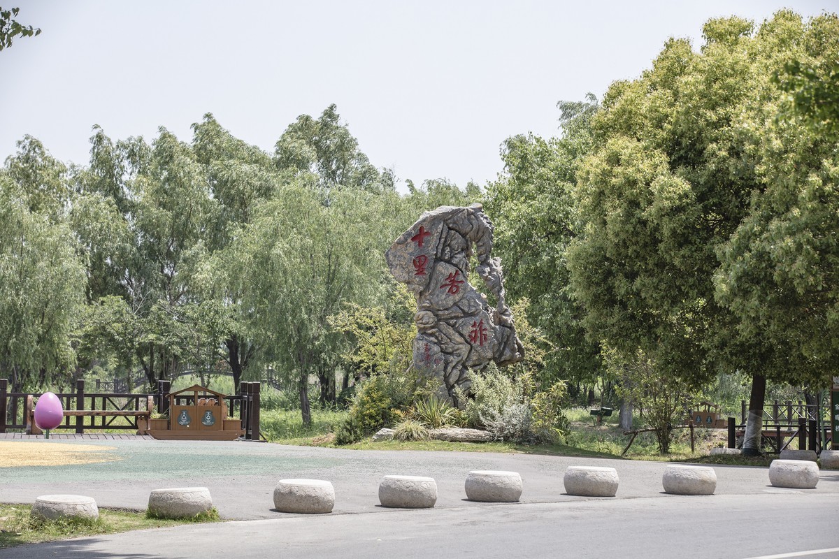 洪澤湖溼地公園