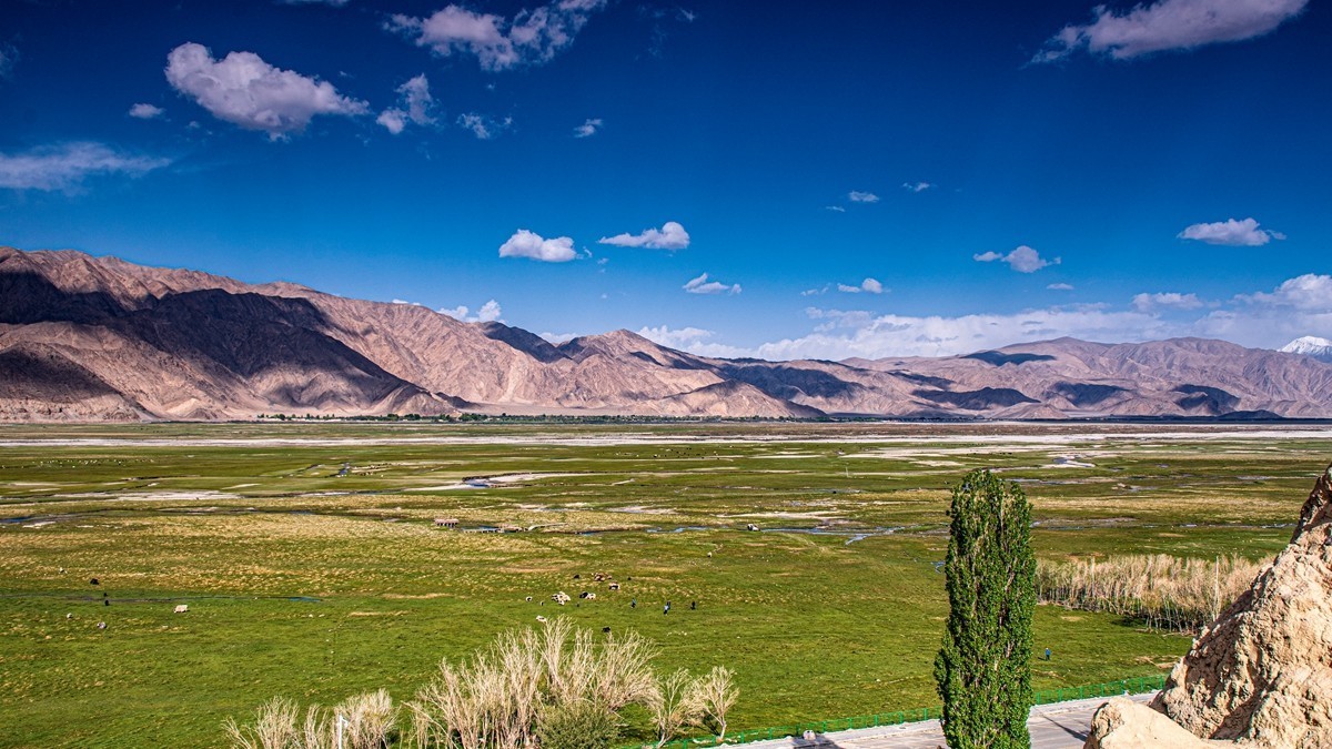 帕米尔高原【12】--金草滩湿地