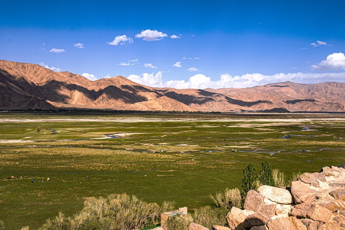 帕米尔高原【12】--金草滩湿地