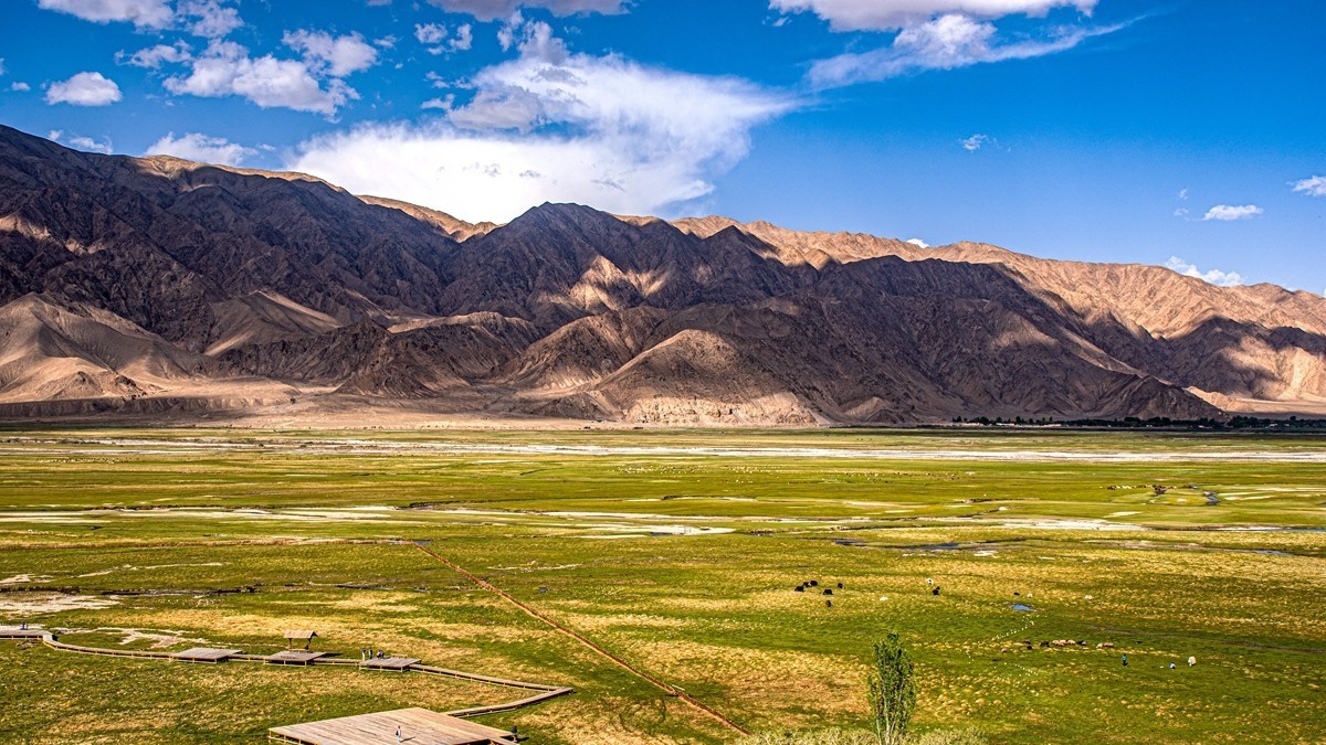 帕米尔高原【12】--金草滩湿地