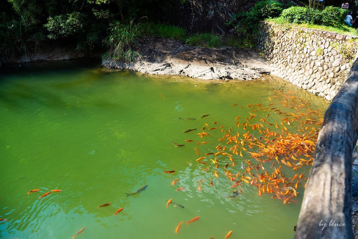 温州——永嘉书院（中）