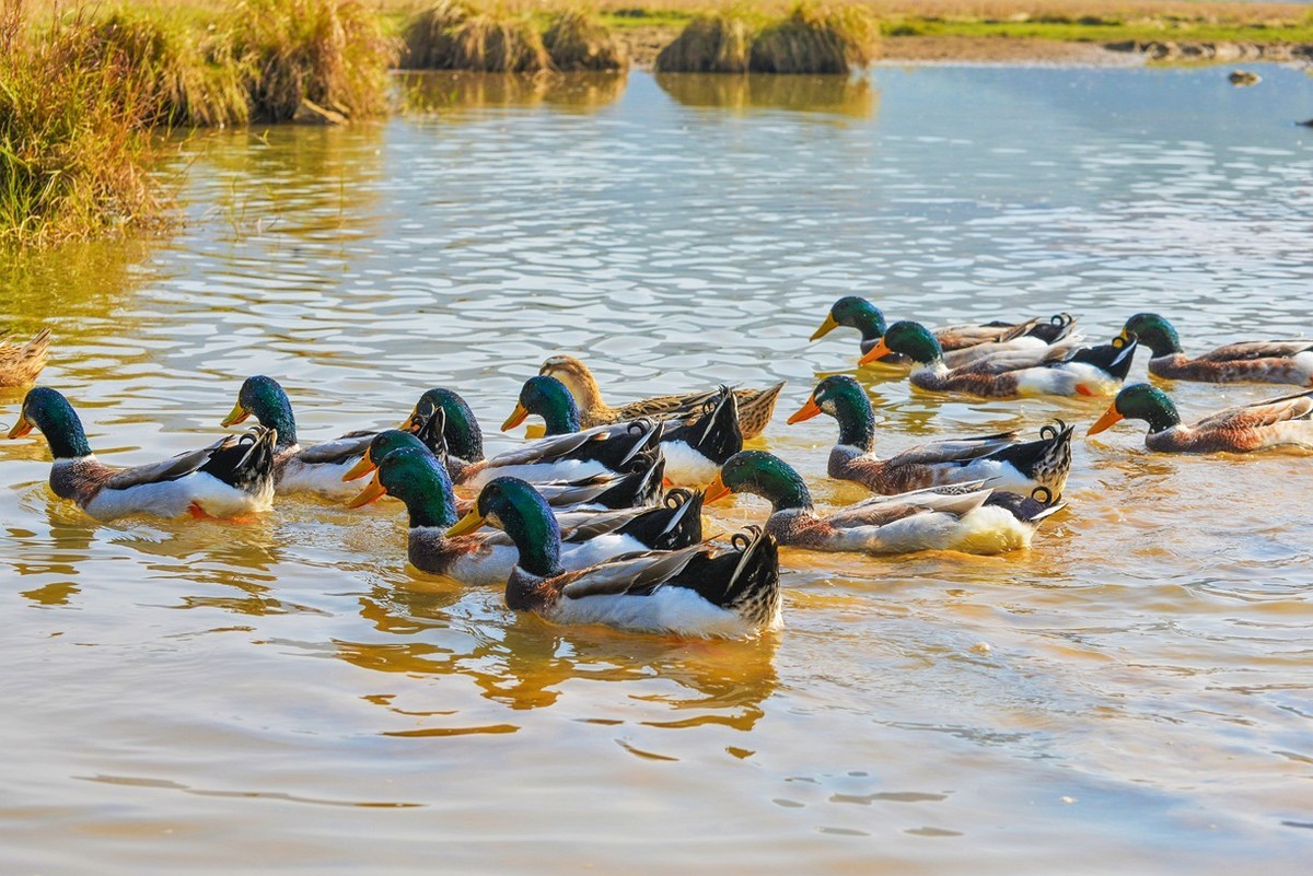 隐藏在山村里的绝美秘境
