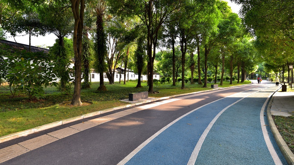 公园健步道5