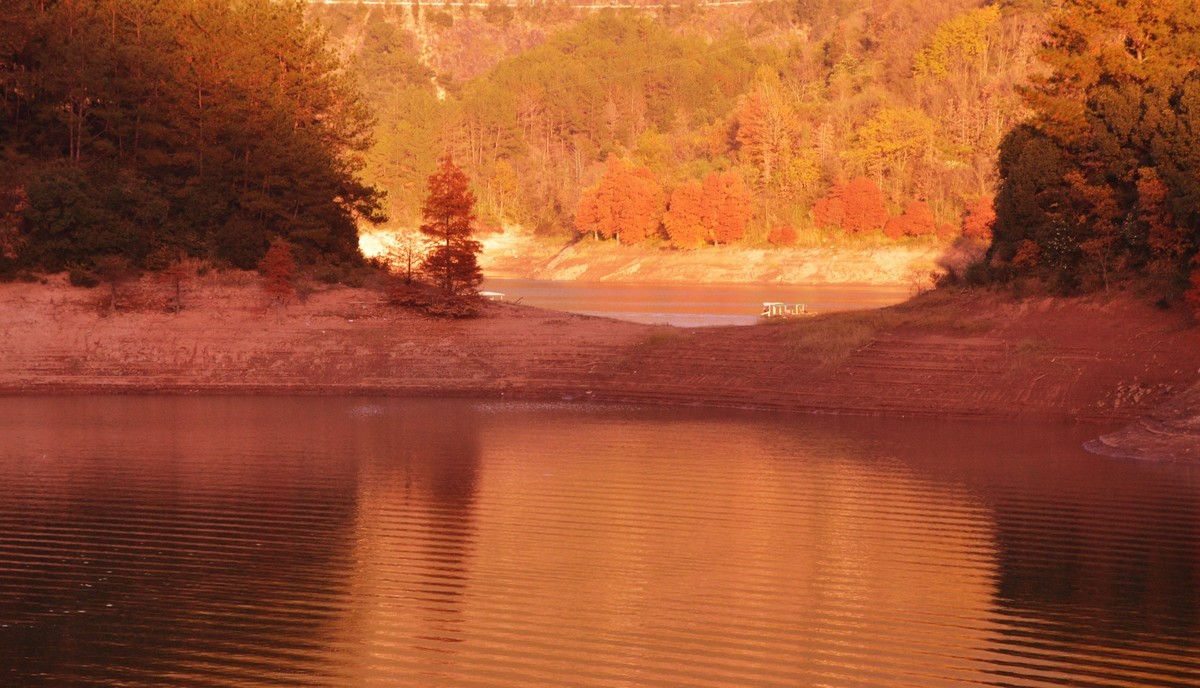 《丽水摄影节参展作品》
