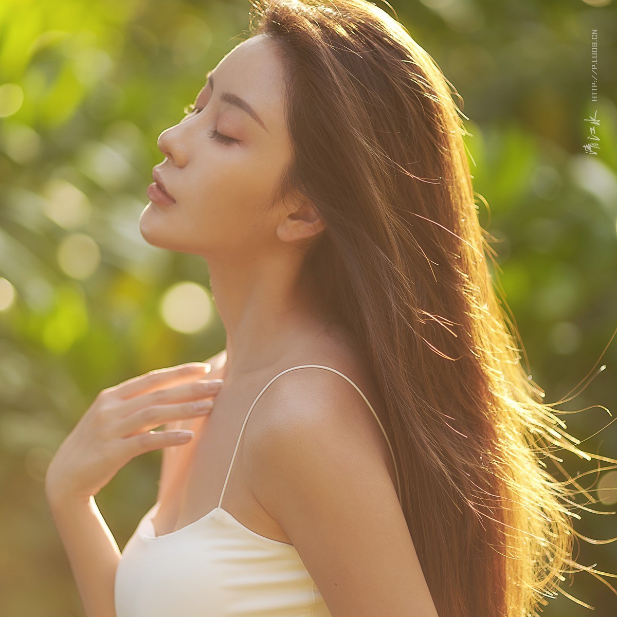 拾一段柔软的时光