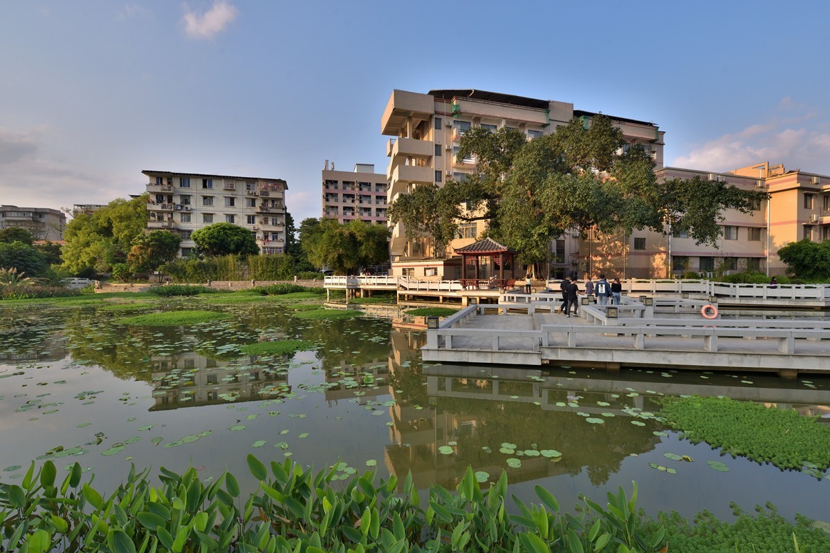 广西大学校园掠影6