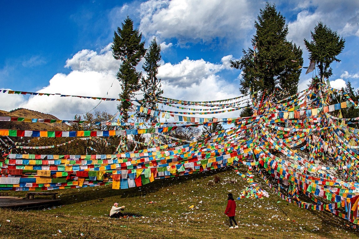 金秋川西行摄【8】