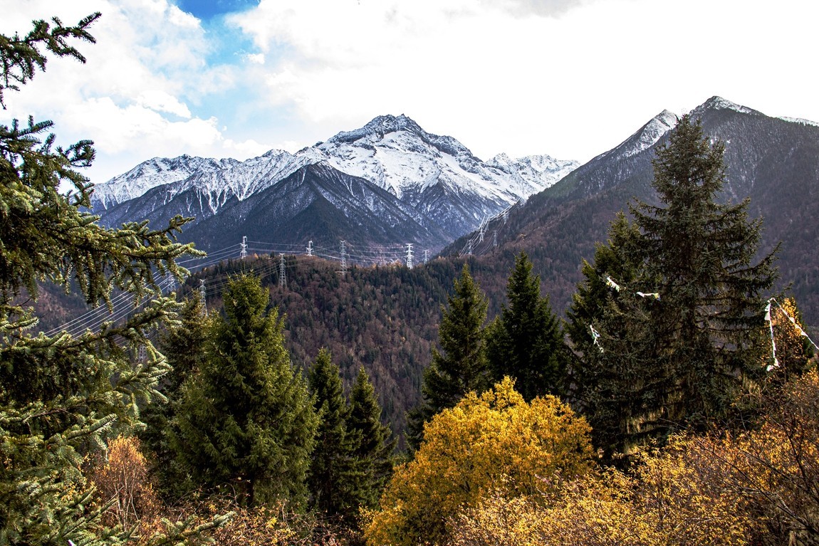 金秋川西行摄【8】