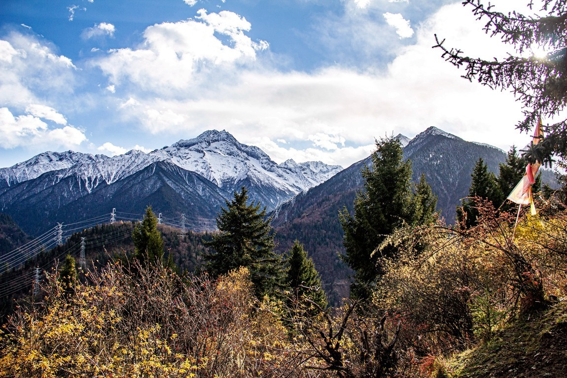 金秋川西行摄【8】