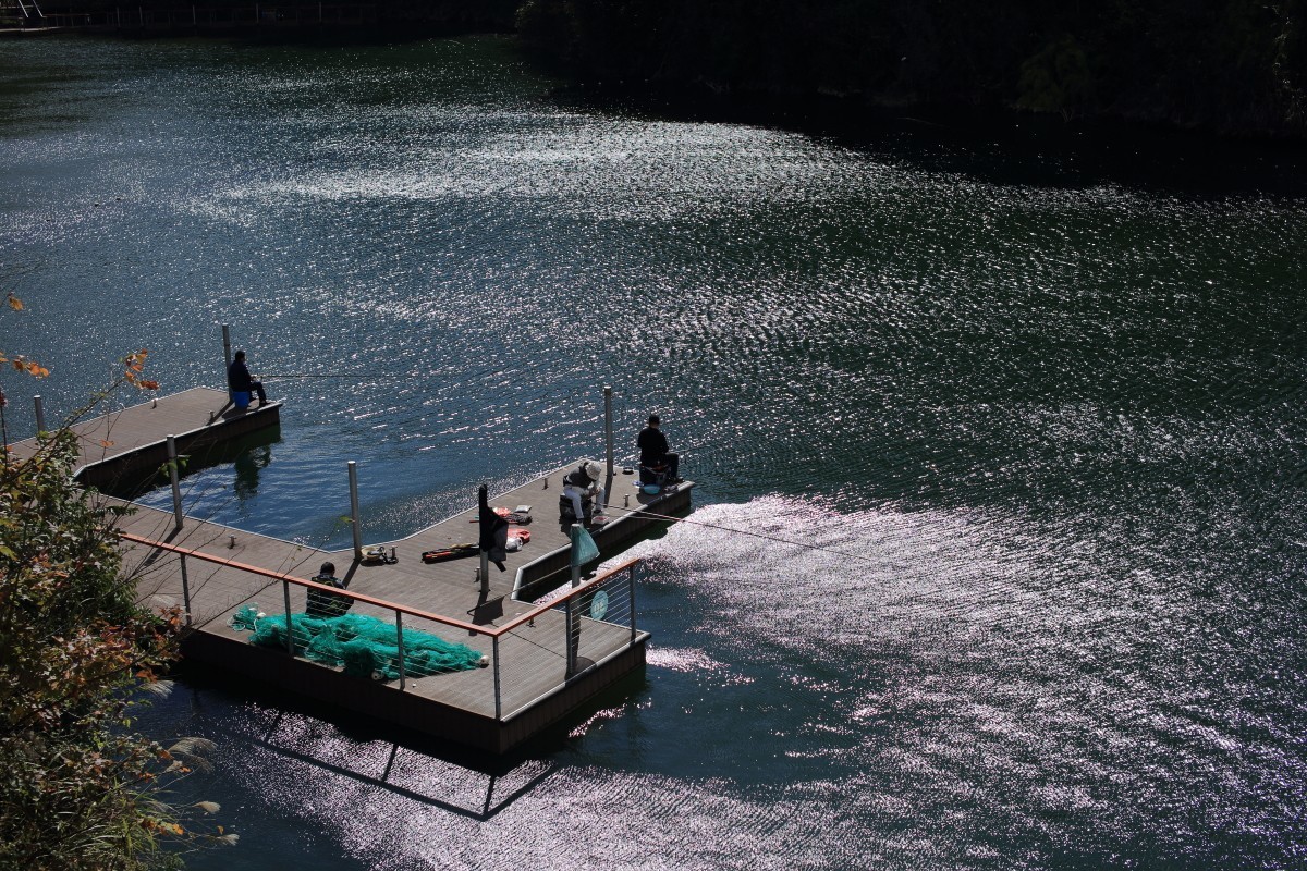 走马观花都匀绿博园（贰）