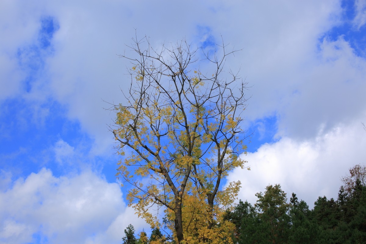 走马观花都匀绿博园（贰）