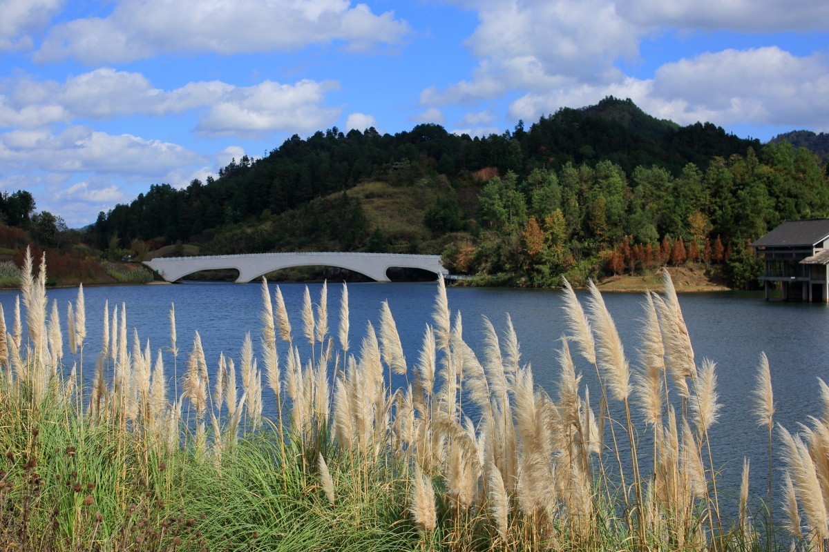 走马观花都匀绿博园（贰）