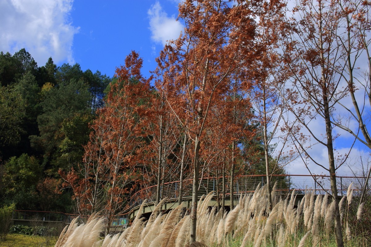 走马观花都匀绿博园（贰）
