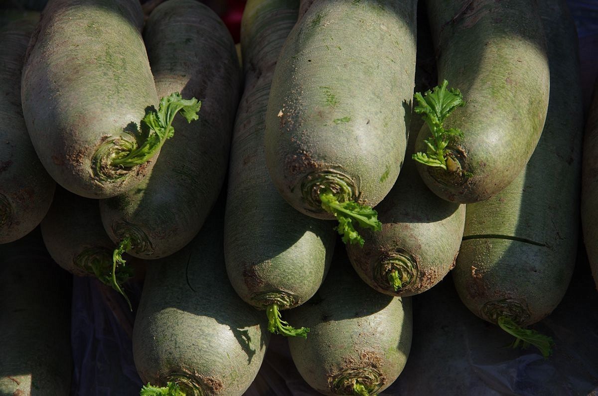 2023正月初十红红火火糖球会-续