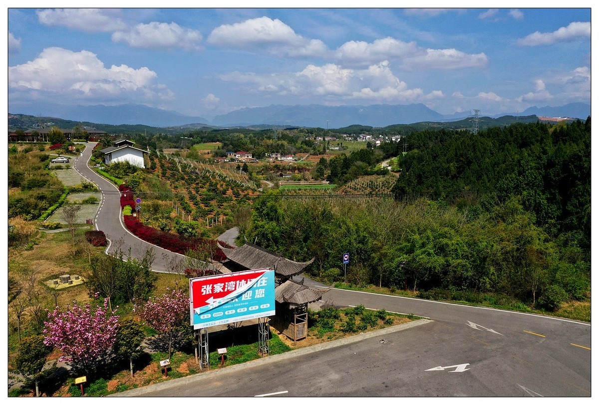 李白故里春色美（二）